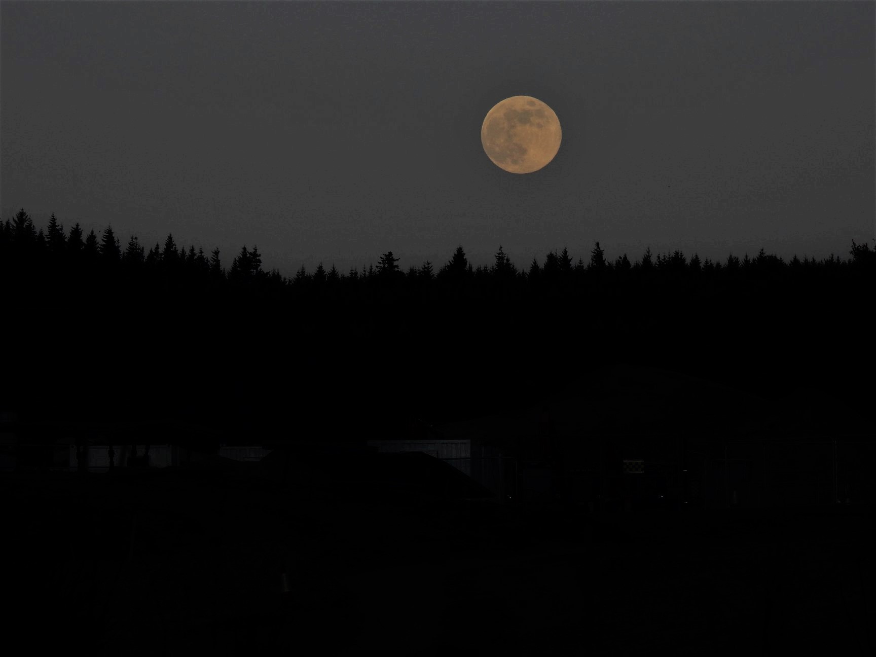 30821676_10214213941835474_8420860583310334124_o