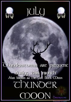 766e44911cb4c53e10dc5f3d9220dde4