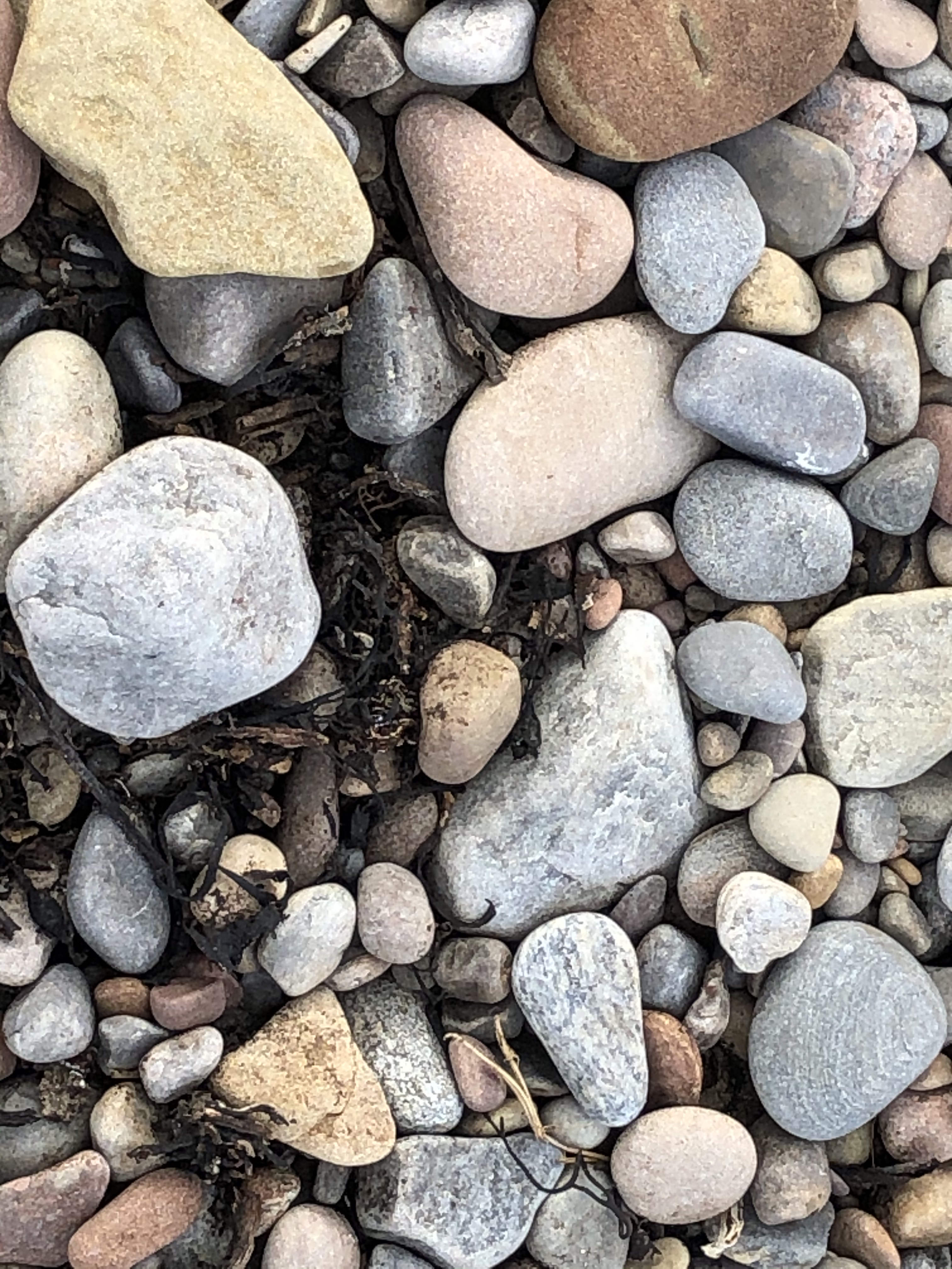 6F901015-2853-41D9-9057-1E287672E813